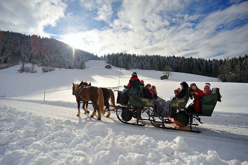 Horse-drawn sleigh ride in Hopfgarten